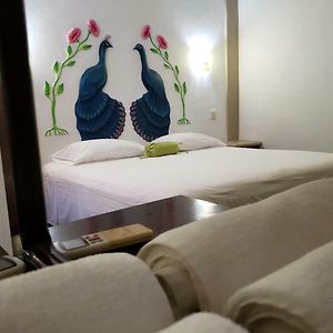 Habitación con Cama King